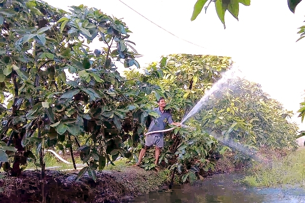 Vietnamese agricultural products today