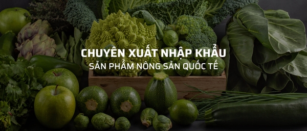 VAN DAI PHAT VN Import-Export Co., Ltd