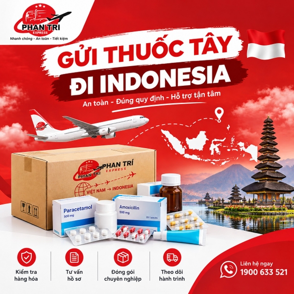 Dịch vụ gửi thuốc tây đi Indonesia 