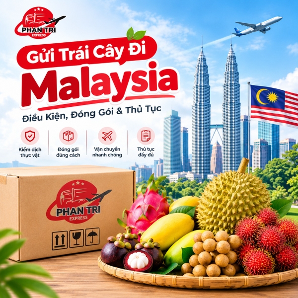 Dịch vụ gửi trái cây đi Malaysia Phan trí Express 