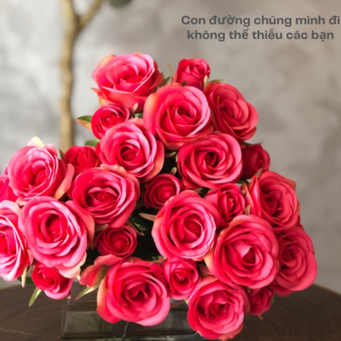 THÁI SA TRONG MẮT BẠN THẾ NÀO?