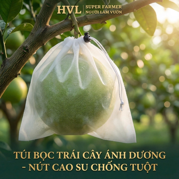 Túi bọc trái cây Ánh Dương chính hãng: Có nút cao su chống tuột – Mua tại Web giá tốt nhất