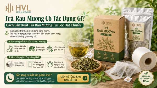 Trà Rau Mương Có Tác Dụng Gì? Cách Sản Xuất Trà Túi Lọc Đạt Chuẩn