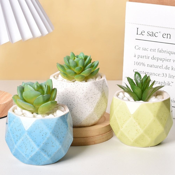Chậu Mini Trồng Cây Super Farmer – Chậu Sứ Kim Cương Decor Sen Đá Cao Cấp