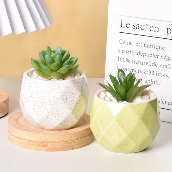 Chậu Mini Trồng Cây Super Farmer – Chậu Sứ Kim Cương Decor Sen Đá Cao Cấp