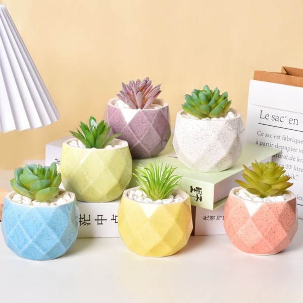 Chậu Mini Trồng Cây Super Farmer – Chậu Sứ Kim Cương Decor Sen Đá Cao Cấp