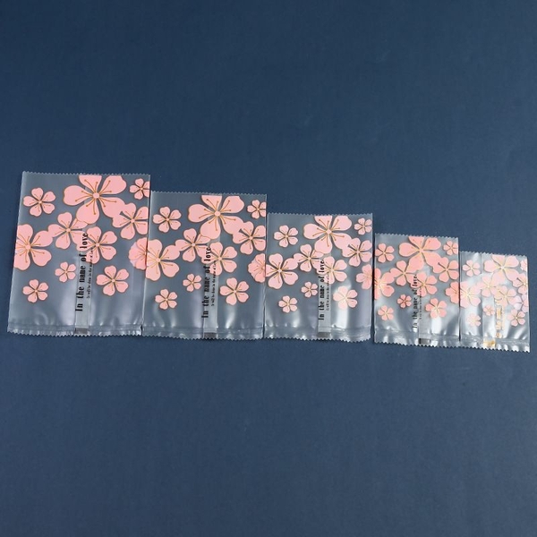 Túi ziplock có dây kéo đóng gói quần áo- 10x15