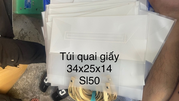 Túi nhựa PVC trong suốt quai giấy