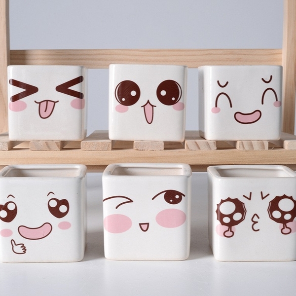 Chậu Mini 6 Biểu Cảm Super Farmer