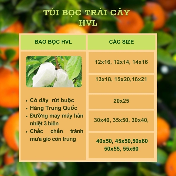Túi Bao Trái Cây HVL Có Dây Rút - Chống Ruồi Vàng, Sâu Bệnh