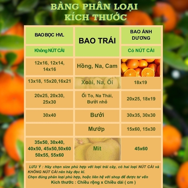 Túi Bao Trái Cây HVL Có Dây Rút - Chống Ruồi Vàng, Sâu Bệnh