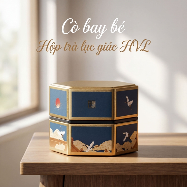 Hộp đựng trà lục giác, bằng thép cao cấp - HVL TEA