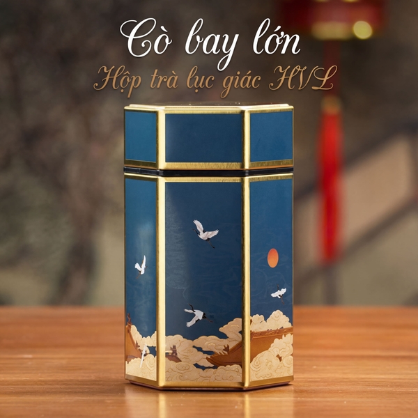 Hộp đựng trà lục giác, bằng thép cao cấp - HVL TEA