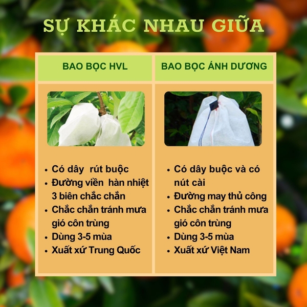 100 Túi Bọc Trái Cây Ổi, Bưởi, Xoài, Na... Nhiều Kích Thước Dùng 3-5 Mùa, Nhiều thương Hiệu - NGUOILAMVUON