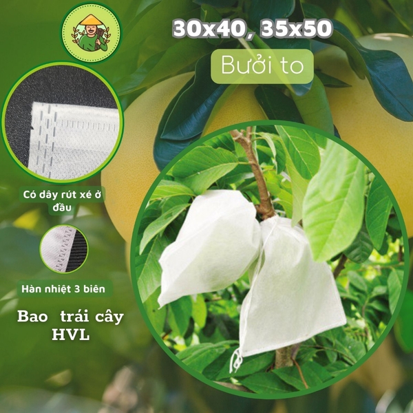 100 Túi Bọc Trái Cây Ổi, Bưởi, Xoài, Na... Nhiều Kích Thước Dùng 3-5 Mùa, Nhiều thương Hiệu - NGUOILAMVUON