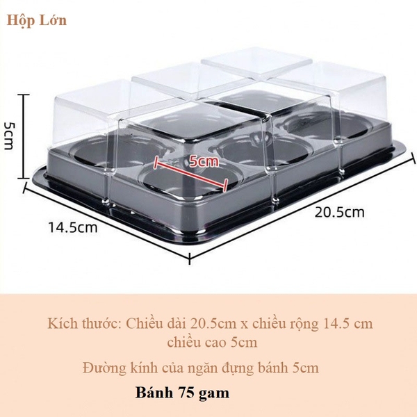 10 Hộp 6 bánh trứng, bánh trung thu, khay đựng bánh có nắp, đựng bánh hình tròn - VUA BAO BÌ