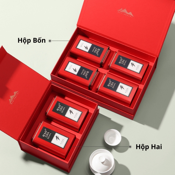 Bộ hộp trà thiếc họa tiết lá trúc kèm túi quà tặng cao cấp - HVL TEA