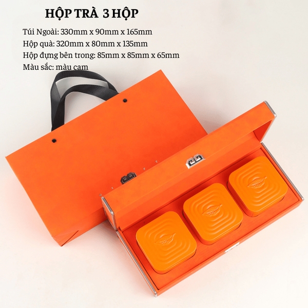 Bộ hộp trà nắp khóa hoa văn kèm túi quà tặng cao cấp - HVL TEA