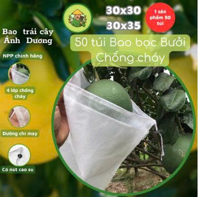 100 Túi Bọc Trái Cây Bưởi, Ổi, Xoài, Na thương hiệu Ánh Dương, dùng 3-4 mùa (có nút cài) - Người Làm Vườn