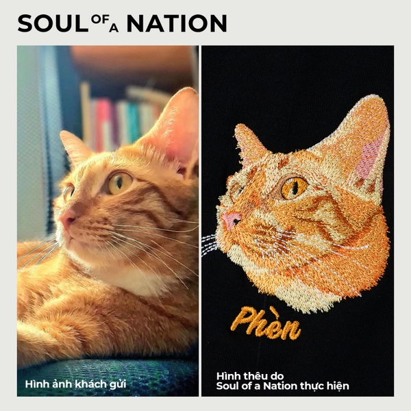 Dự án thêu pet mèo Phèn