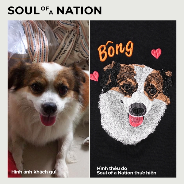 Dự án thêu pet chó Bông.
