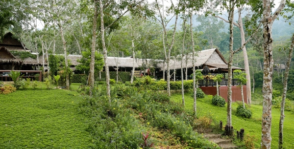 Tham quan Khu bảo tồn Voi ở Phuket nửa ngày (Phuket Elephant Sanctuary)_Optional Tour