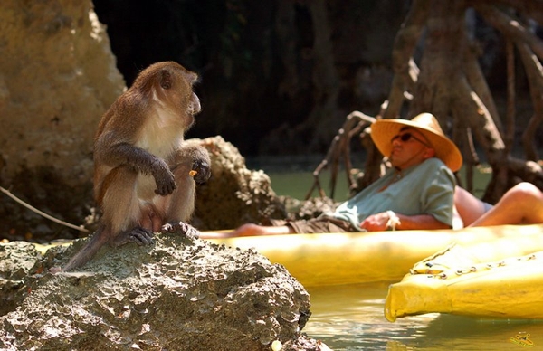 Khám phá vịnh Phang Nga và Hong Island bằng tàu cao cấp về đêm (Starlight in Hong Island)_Optional Tour