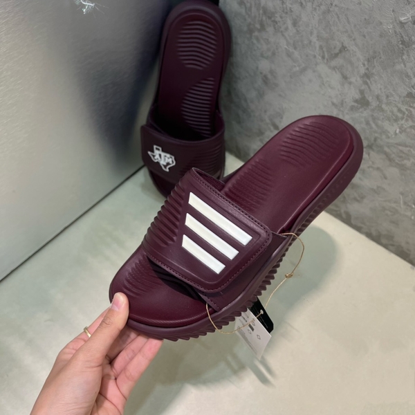 alphabounce maroon