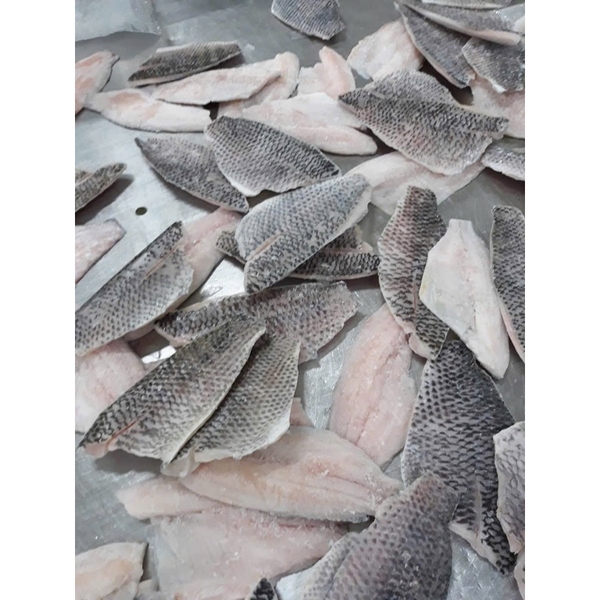 Cá Rô Phi Lọc Xương Phile - Khay 1 Kg net 8