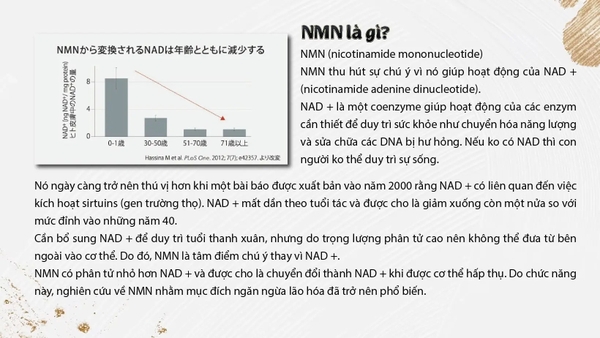 Mặt Nạ Cao Cấp Nano NMN+3D Face Mask