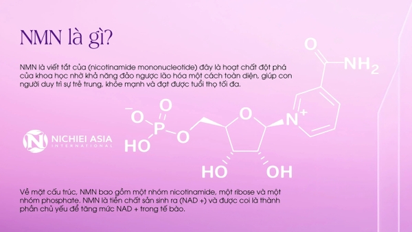 Bột Uống Nano NMN+ Collagen 88000