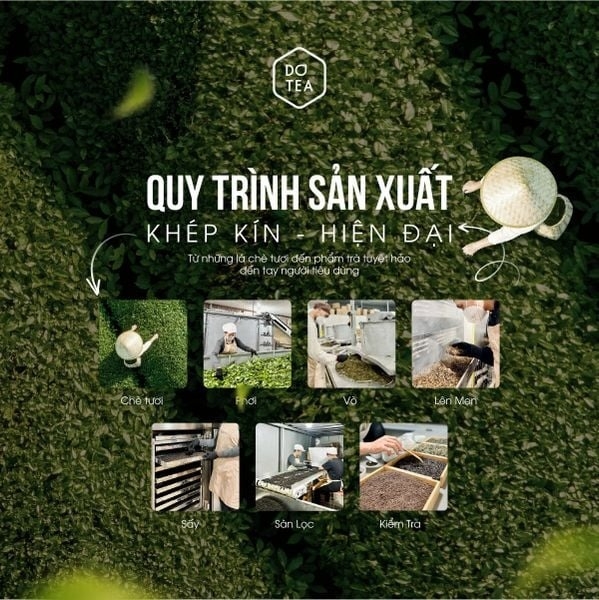 Dotea - Nguyên diệp hồng trà B541 - 500g