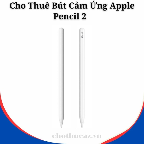 Cho Thuê Bút Cảm Ứng Apple Pencil 2 Chính Hãng, Giá Rẻ Tại Hà Nội, Hải Phòng, TP Hồ Chí Minh- Uy Tín, Chất Lượng, Giá Rẻ