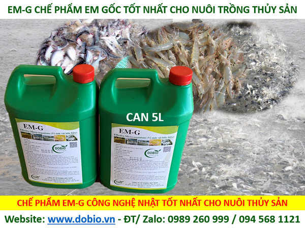 CHẾ PHẨM SINH HỌC EM G GỐC DẠNG NƯỚC 5 LÍT - Giải pháp chăn nuôi thủy sản nông nghiệp hiệu quả