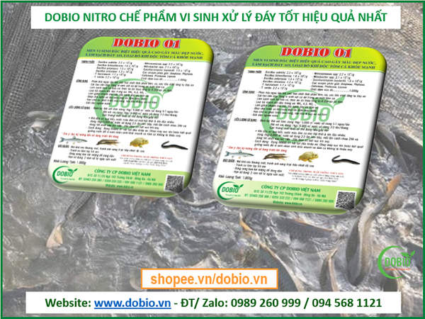 Dobio 01 Men Vi Sinh Đặc Biệt Gây Màu Đẹp Nước Làm Sạch Đáy Ao