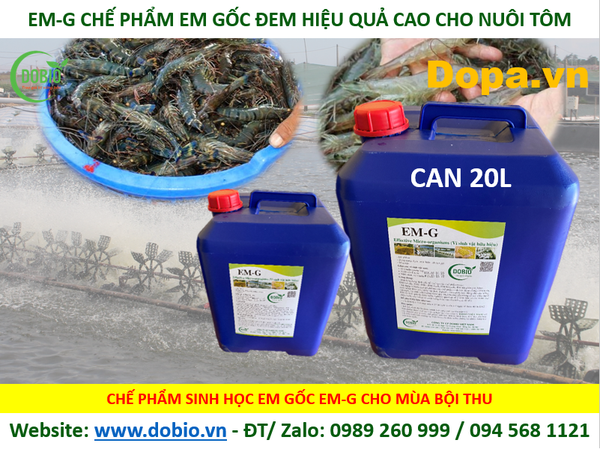 CHẾ PHẨM SINH HỌC EM G GỐC DẠNG NƯỚC 20 LÍT - Giải pháp chăn nuôi thủy sản nông nghiệp hiệu quả