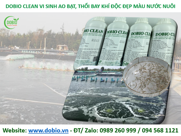 DOBIO CLEAN CHẾ PHẨM MEN VI SINH XỬ LÝ NHỚT ĐÁY BẠT HIỆU QUẢ CAO
