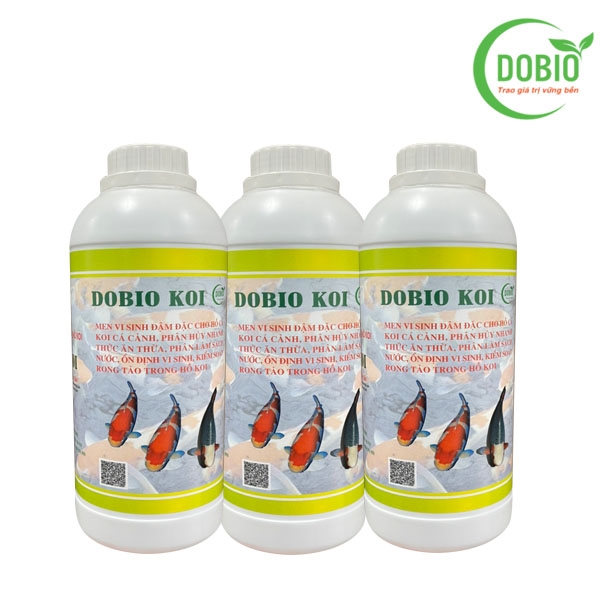 DOBIO KOI - MEN VI SINH ĐẬM ĐẶC DÀNH RIÊNG CHO CÁ KOI
