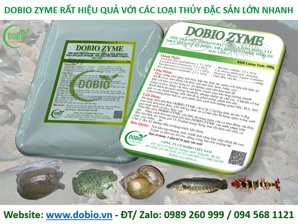 DOBIO ZYME SIÊU MEN TIÊU HÓA ĐẬM ĐẶC CHO THỦY SẢN CÁ TÔM