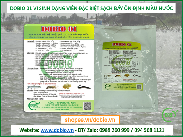 Dobio 01 Men Vi Sinh Đặc Biệt Gây Màu Đẹp Nước Làm Sạch Đáy Ao