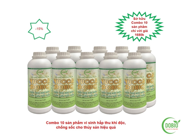 Combo sản phẩm YUCCA DOBIO cải tạo nguồn nước ao nuôi 10 chai