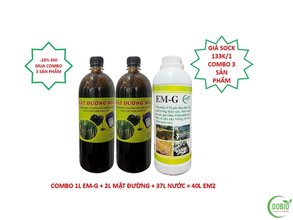 Combo 2 mật rỉ đường + 1 EM-G dạng nước sản xuất EM2 cho thủy sản