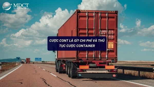 Cược cont là gì? Chi phí và thủ tục cược Container như thế nào? | MDCT ...