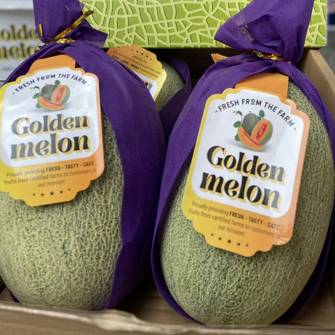Dưa lưới Golden