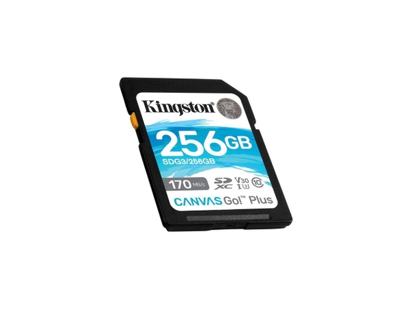 Kingston Canvas Go Plus SDXC 256GB (SDG3/256GB)