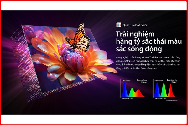 Tivi Toshiba Qled 100 inch Series 100Z670NP MỚI 2025