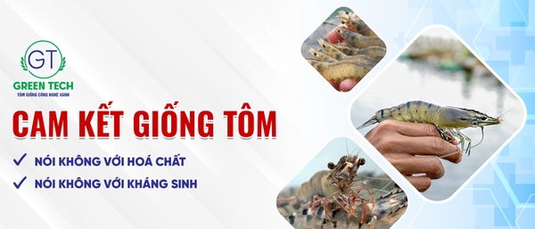 Green Tech - Tôm giống công nghệ xanh