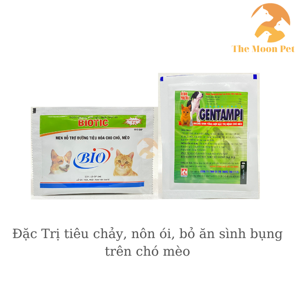 dieu-t-r-i-cac-chung-tieu-chay-dau-bung-kho-tieu-sinh-bung-tren-cho-meo