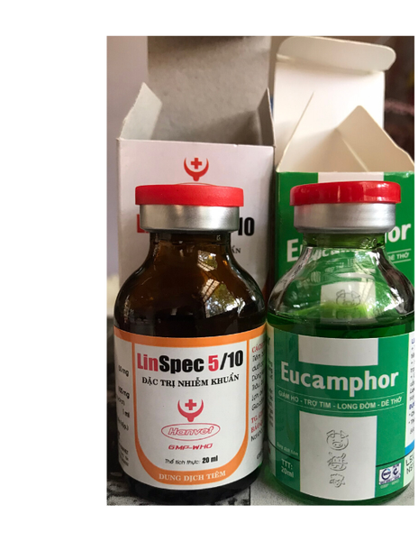 combo-ket-hop-linspec-5-10-va-eucamphor-20-ml-dut-diem-khet-kho-khe-ga-da