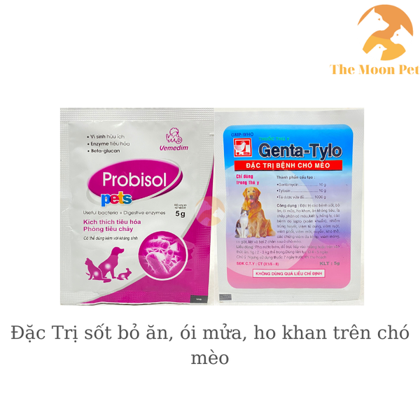 dac-t-ri-sot-bo-an-oi-mua-ho-khan-tren-cho-meo